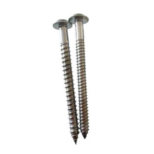 Button Head Screws