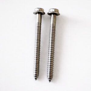 Flange Screws